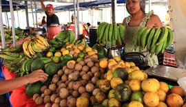 Feira da Reforma Agrária atrai maceioenses pela sua diversidade
