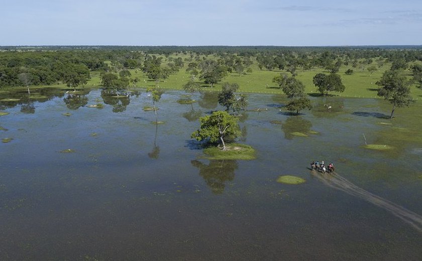 Região do Pantanal representa maior planície de inundação contínua do planeta