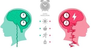 Pesquisa da Ufal sobre epilepsia detecta horários mais frequentes de crises