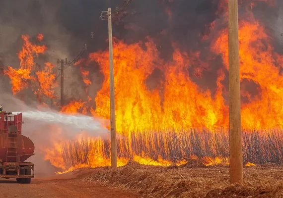 Mais de 80% dos focos de calor em São Paulo estão em áreas de agropecuária