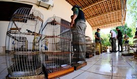 FPI do São Francisco recupera 100 animais silvestres que eram mantidos em cativeiro