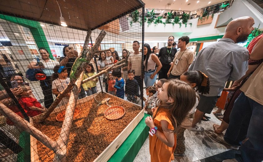 Arena Pet começa com programação gratuita voltada a negócios e experiências para toda a família
