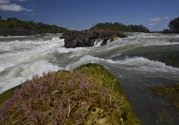 Brasil é o país que mais altera leis que deveriam proteger a Amazônia, diz estudo