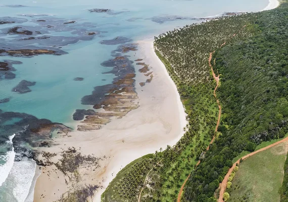 Praia de Pituba, em Coruripe, recebeu gravações de reality show