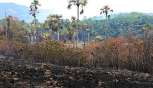 Fogo na Chapada é declarado extinto, ICMBio confirma reabertura do parque