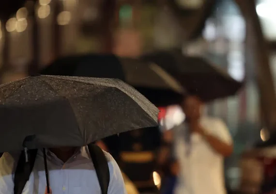 Água da chuva pode estar contaminada por agrotóxico, diz estudo
