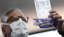 Fábrica de mosquitos oferece tecnologias para redução da dengue