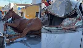 Cavalo desgovernado salta sobre carro e provoca acidente em Santana do Ipanema
