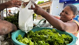 Agricultura familiar mostra sua força no encerramento do Circuito Regional de Feiras