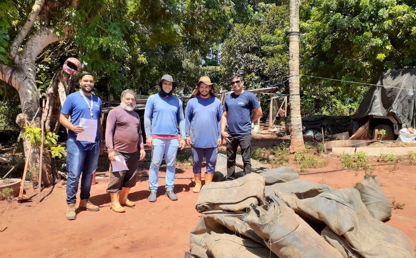 Sustentáveis e econômicas: geobags auxiliam no cultivo agrícola no agreste alagoano