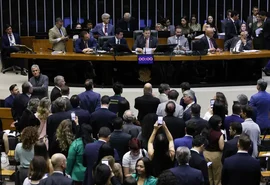 Congresso rejeita 52 vetos ao PL do licenciamento ambiental