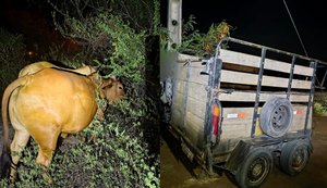 Trio é preso suspeito de integrar quadrilha especializada em furto de gado no Sertão de Alagoas