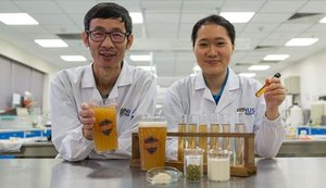 Cientistas asiáticos criam cerveja probiótica com lactobacilos vivos