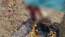 Mulher encontrada morta em calçada de escola era trans; PC investiga o caso