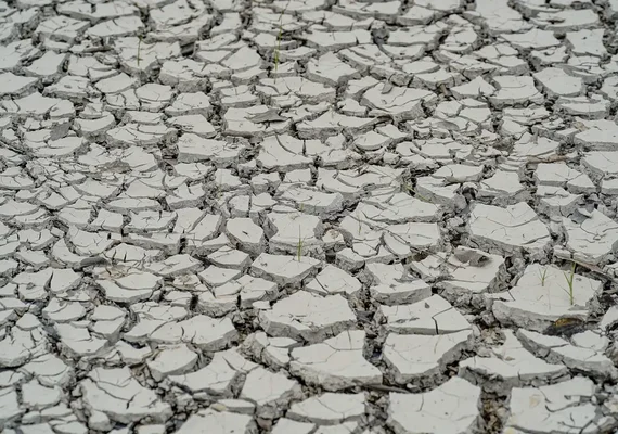Estiagem: quinze cidades têm situação de emergência decretada