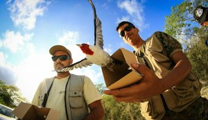 FPI realiza a soltura de 370 animais silvestres resgatados durante operações