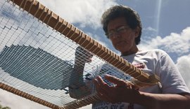 Bordado filé sobrevive nas cores de Alagoas