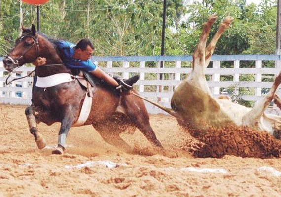 Tribunal de Justiça confirma liminar que permitiu vaquejadas em Pilar