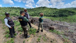 Alagoas é alvo da Operação Nacional 'Mata Atlântica em Pé'
