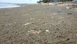 IMA intima prefeitura de Maceió a remover sargaço e lixo da praia da Ponta Verde