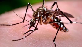 Ministério da Saúde vai distribuir 3,5 milhões de testes rápidos de zika