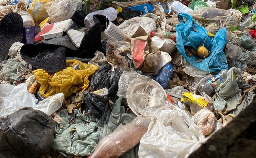 Vídeo: limpeza em casa de acumulador compulsivo continua nesta quinta-feira (23), em Delmiro Gouveia