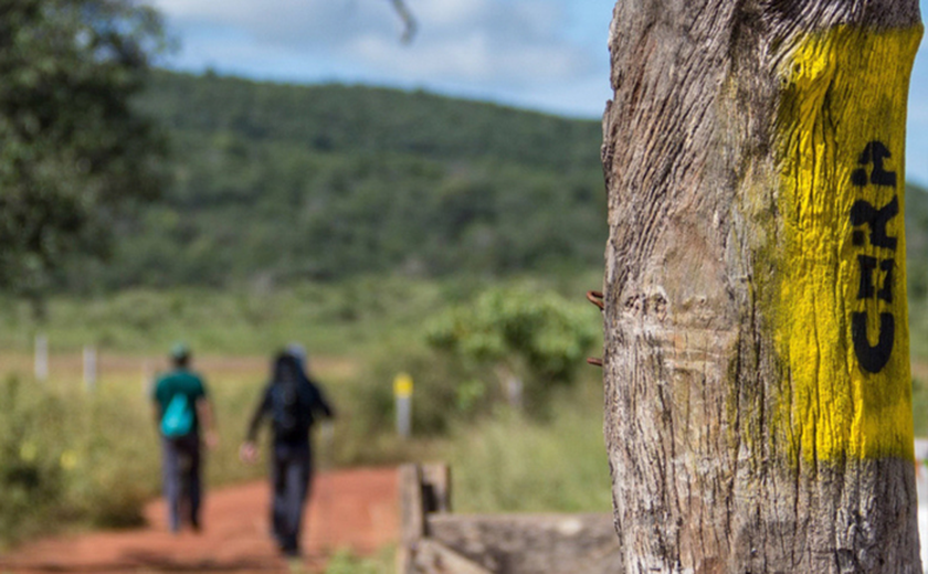 Saiba qual a importância da Rede Trilhas para o turismo do Brasil