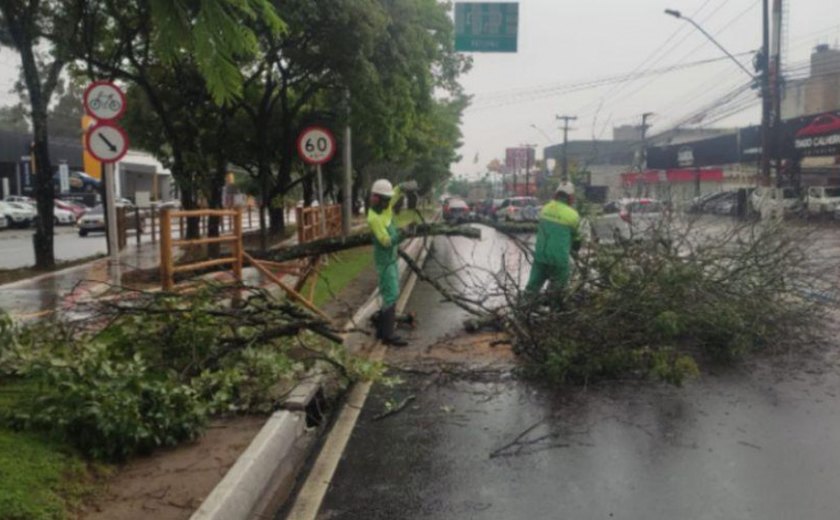 Prefeitura de Maceió realiza ações contra transtornos causados pelas fortes chuvas