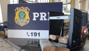 Ação conjunta da PRF e Canil do 3° BPM/AL apreende cerca de 3kg de maconha, na BR 101