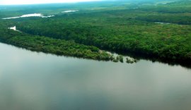 EUA estão empenhados em arrecadar recursos vultosos para Amazônia