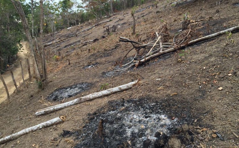 Órgãos do Estado combatem infrações e crimes ambientais na Serra dos Frios