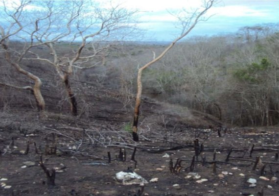 MPF aciona herdeiros por degradação ambiental em área da Terra Indígena Kariri-Xocó