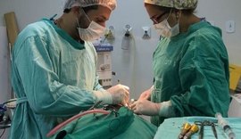 Hospital de Arapiraca vira referência em cirurgia da face