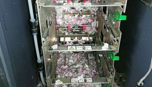 Ratos destroem mais de R$ 66 mil em caixa eletrônico na Índia