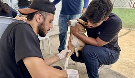 Ação itinerante promove serviços gratuitos para cães em situação de rua