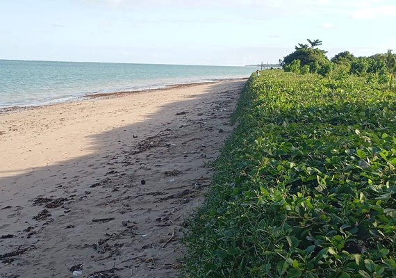 Soluções hibridas com uso de Geobags são as melhores escolhas para conter o avanço do mar nas praias alagoanas