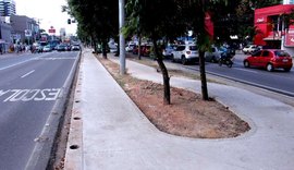 Obras da ciclovia avançam na Avenida Fernandes Lima