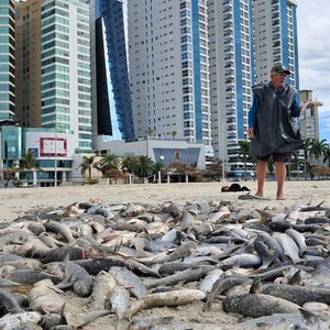 Antônio José dos Santos, o “Zé da baga”: a memória viva da pesca em Balneário Camboriú