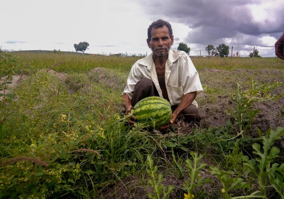 Novo pagamento do Garantia-Safra beneficia cerca de 5 mil agricultores alagoanos