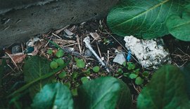 Do descarte ao impacto: a jornada ambiental dos resíduos hospitalares no Brasil