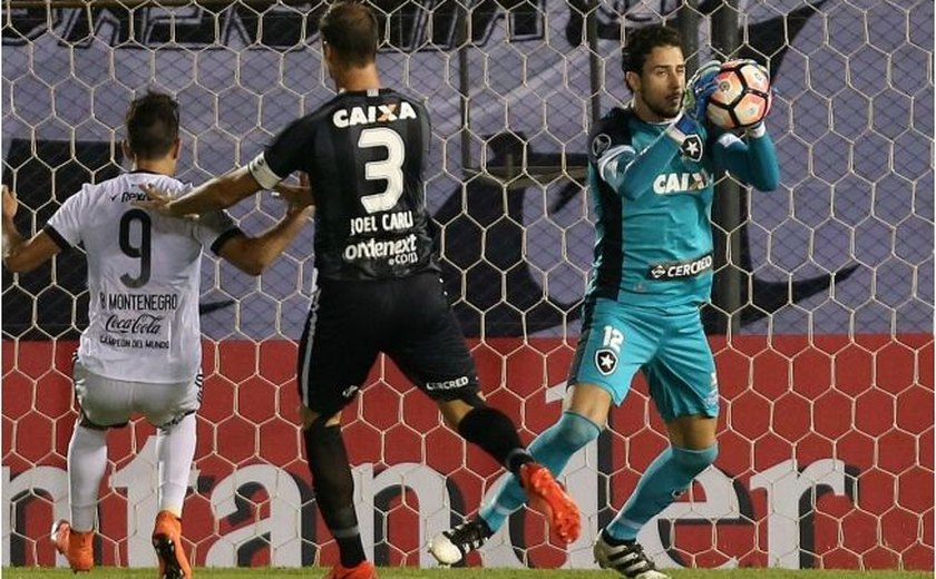 Goleiro Helton Leite tem lesão grave na coxa e desfalca o Botafogo