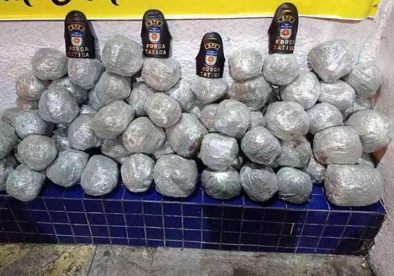 Polícia Militar apreende mais de 80 quilos de maconha após receber denúncia