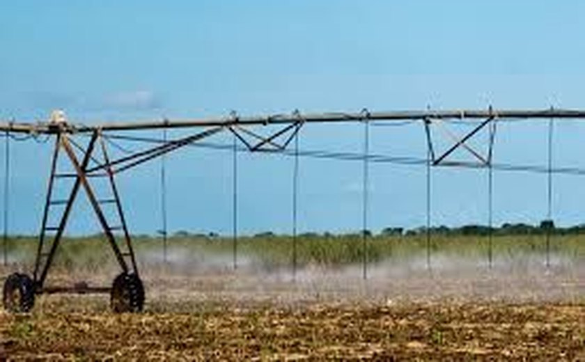 Parceria garante regulamentar irrigação em canaviais