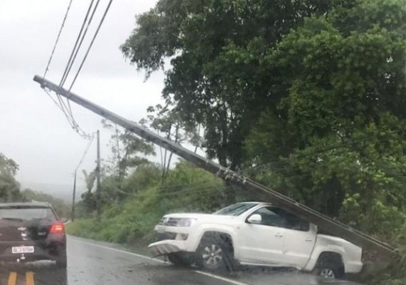 Caminhonete roda na pista e derruba poste na região metropolitana