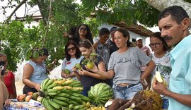 Prefeitura de Maceió incentiva agricultura familiar e melhora merenda