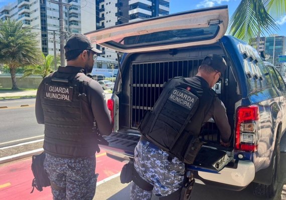 Acusado de arrombamentos a veículos em Maceió é preso
