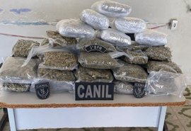 PM apreende mais de 10kg de drogas em um ônibus próximo a povoado em Arapiraca