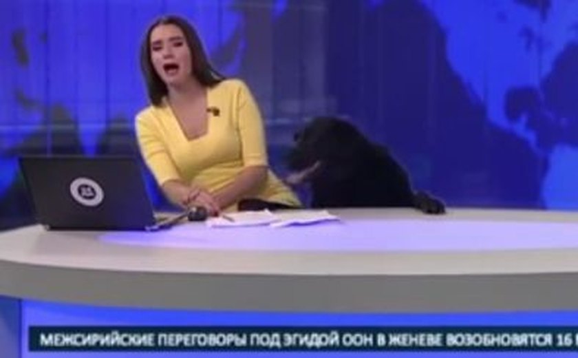 Cão invade estúdio de telejornal e assusta apresentadora; assista