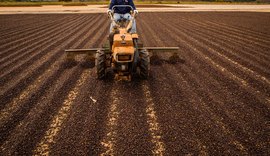 Cooperativa de café disponibiliza cartilha de safra para produtores do Cerrado Mineiro