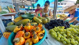 Feira oferta produtos direto da roça a cada 15 dias em Maceió